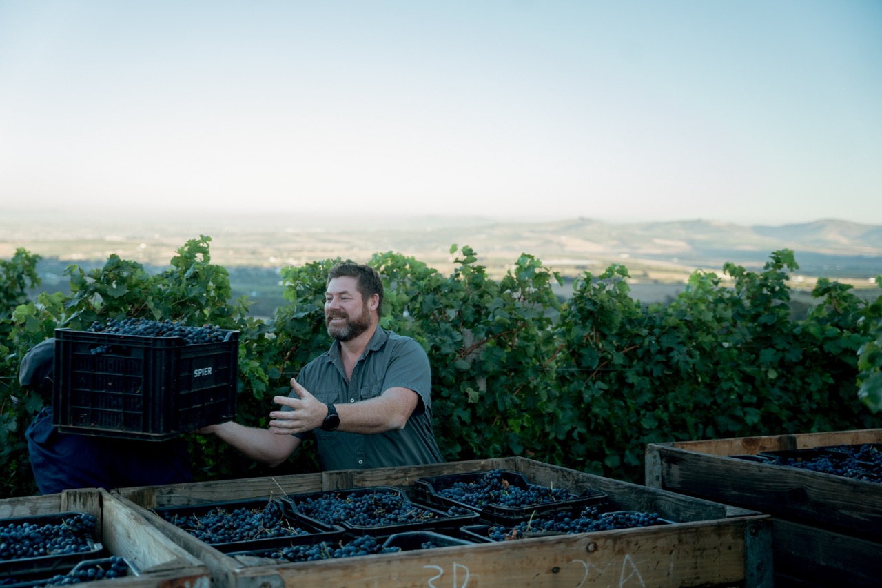 Spier Wine